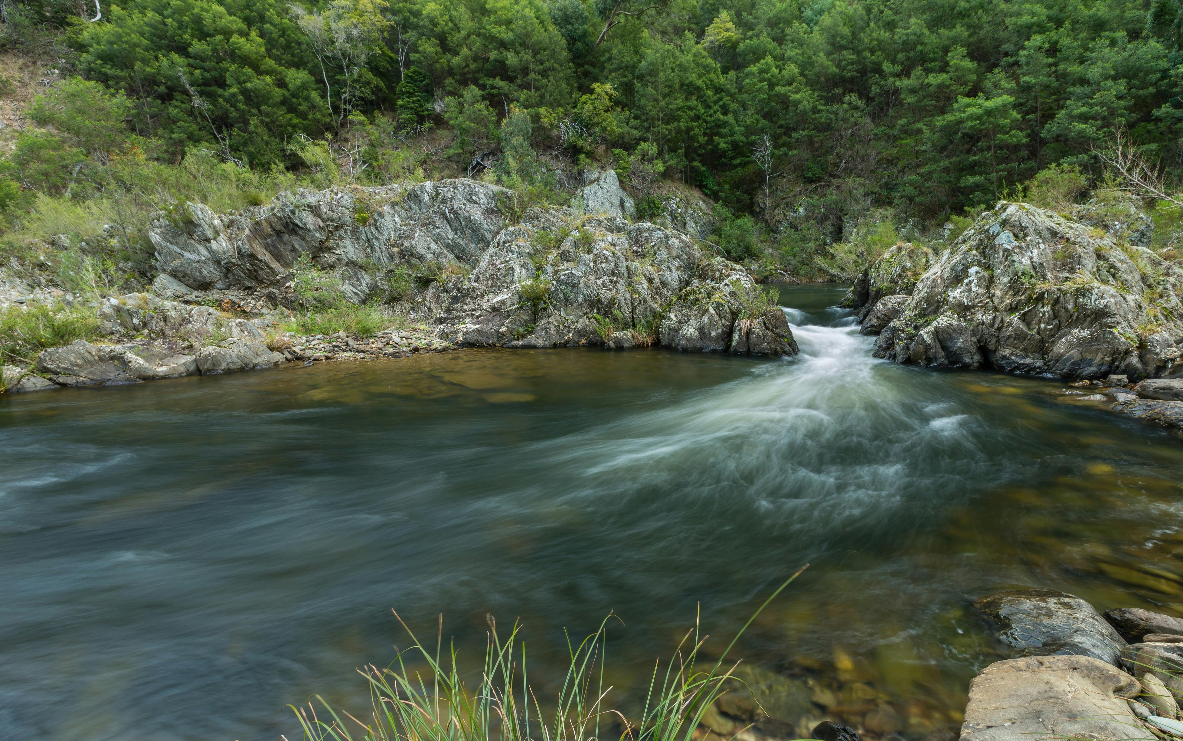 Water rushes down the Thomson River