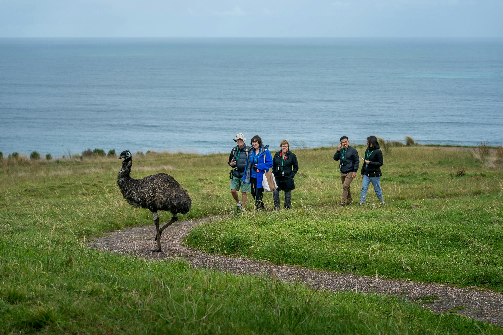 Guided tour at Wildlife Wonders