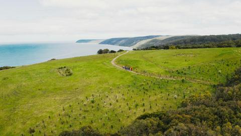 Wildlife Wonders view