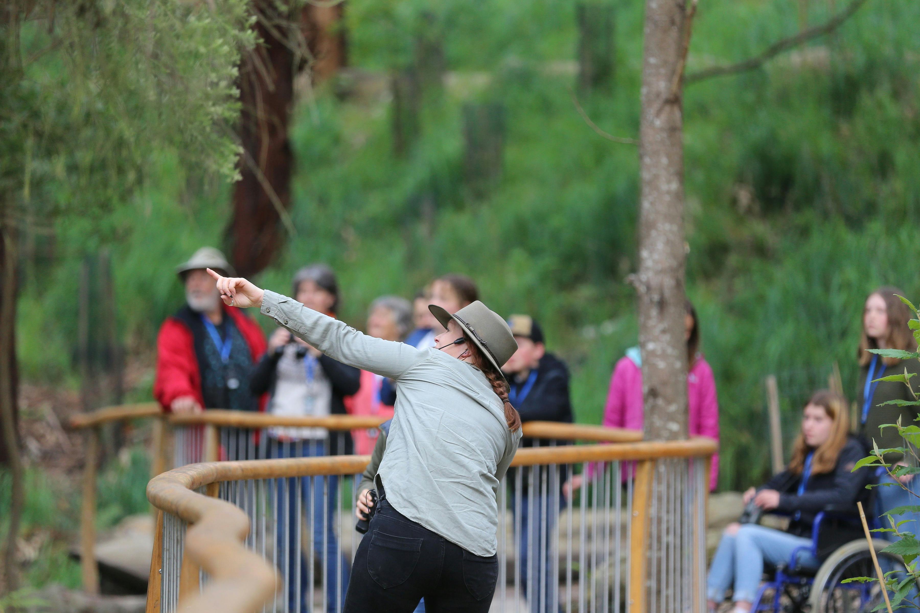 Guided tour at Wildlife Wonders