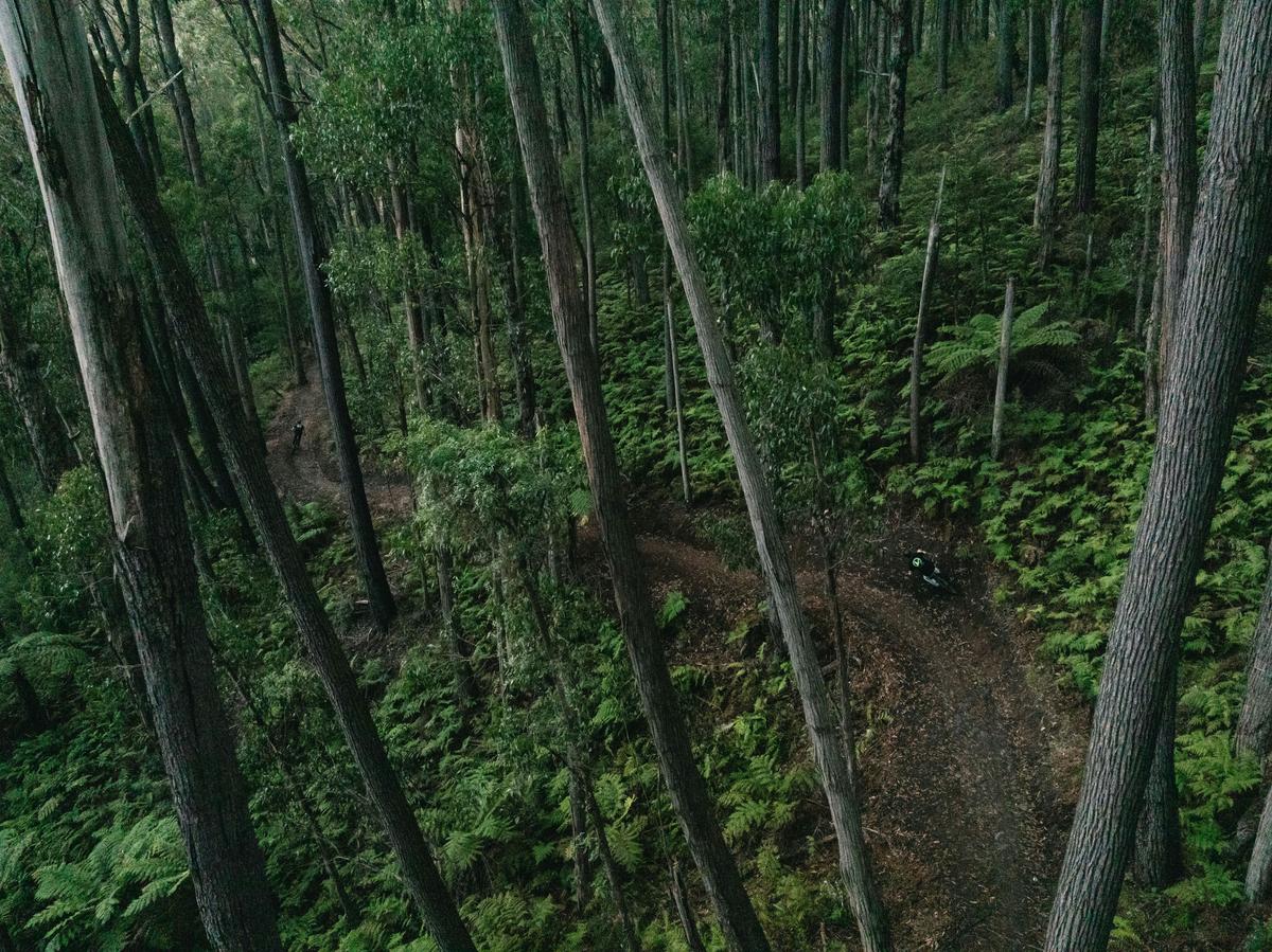 Warburton Bike Park