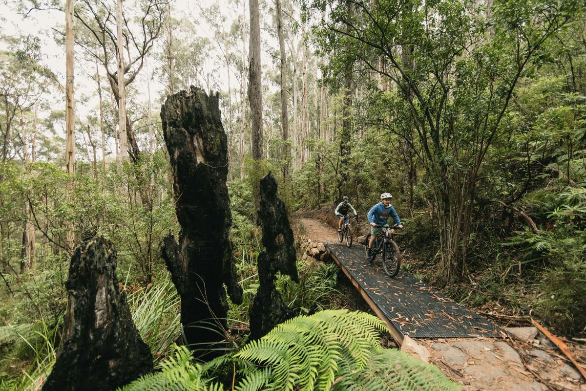 Warburton Bike Park