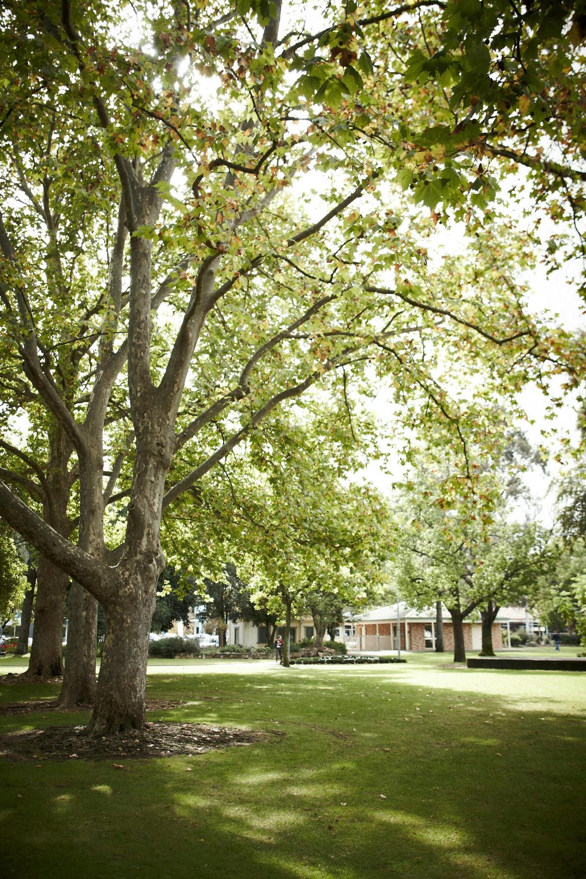 King George Gardens