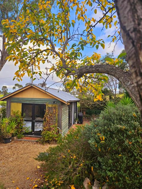 Surrounded by native plants and flowering shrubs, the garden is alive with birdsong,