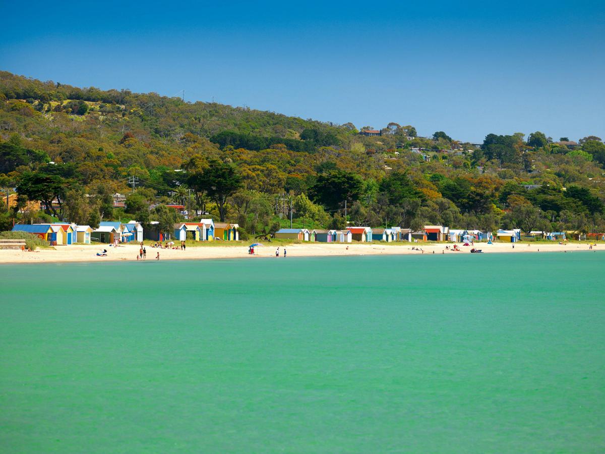 Dromana, The Bay Trail