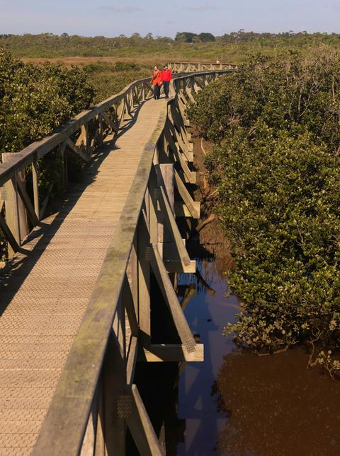 Warringine Park & Bittern Coastal Wetlands Boardwalk - Cycling