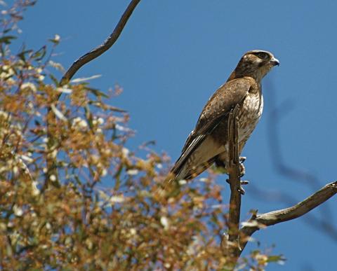 Woodlands Historic Park