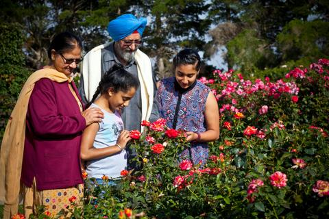 Victoria State Rose Garden at Werribee Park