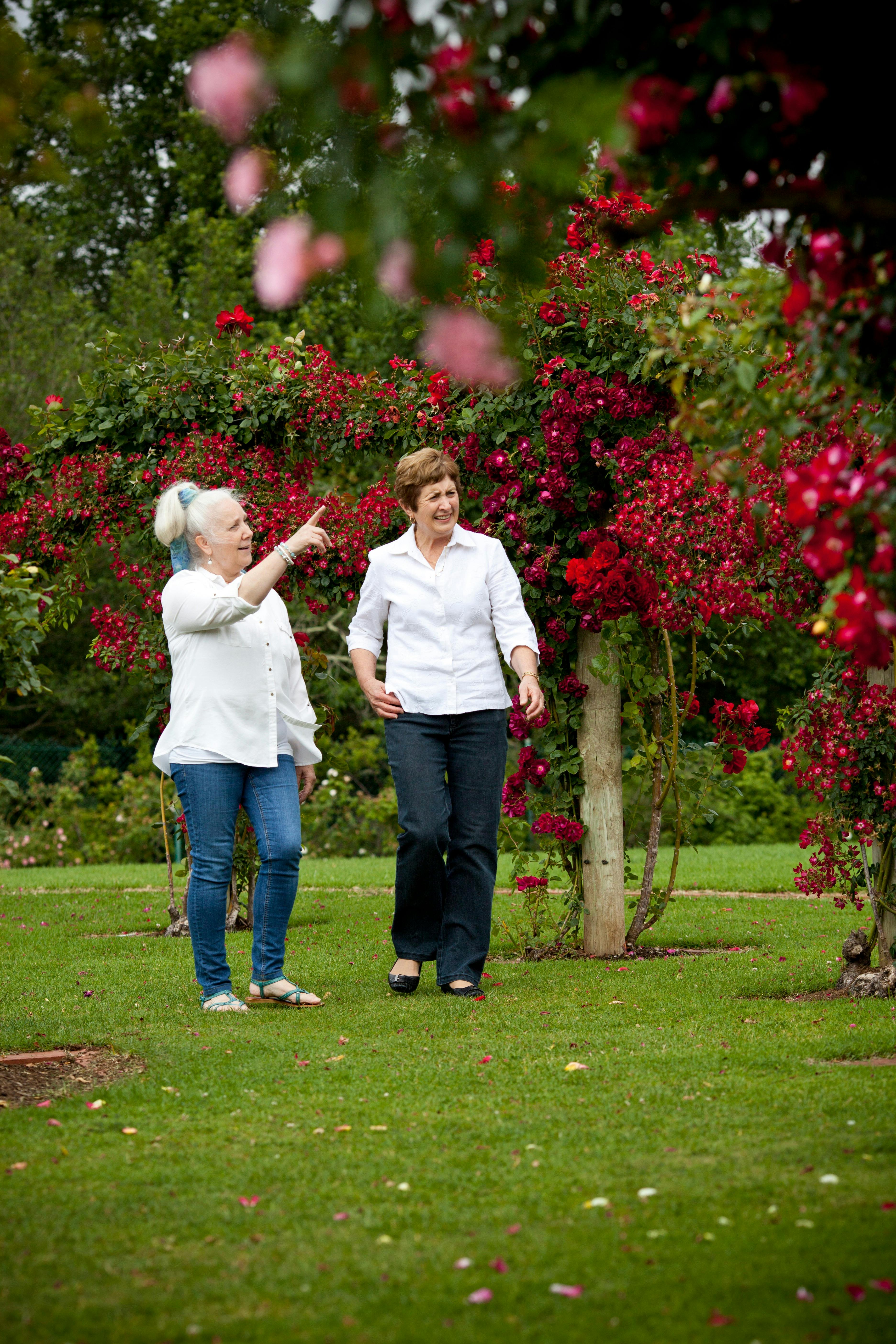 State Victoria Rose Garden