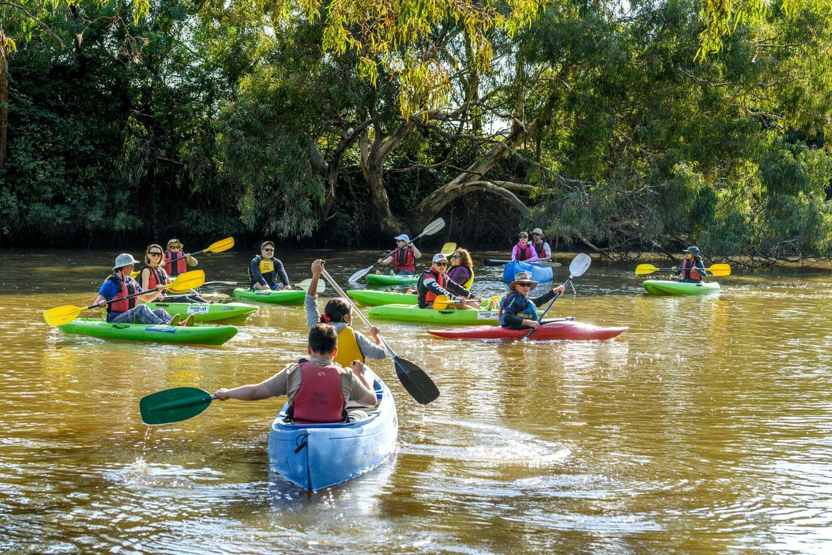Kayaking on Werribee River