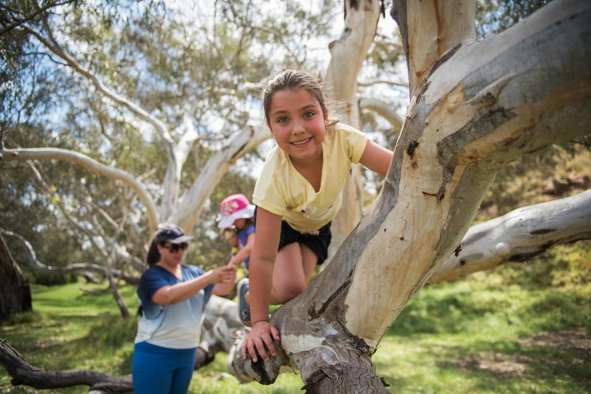 Werribee River