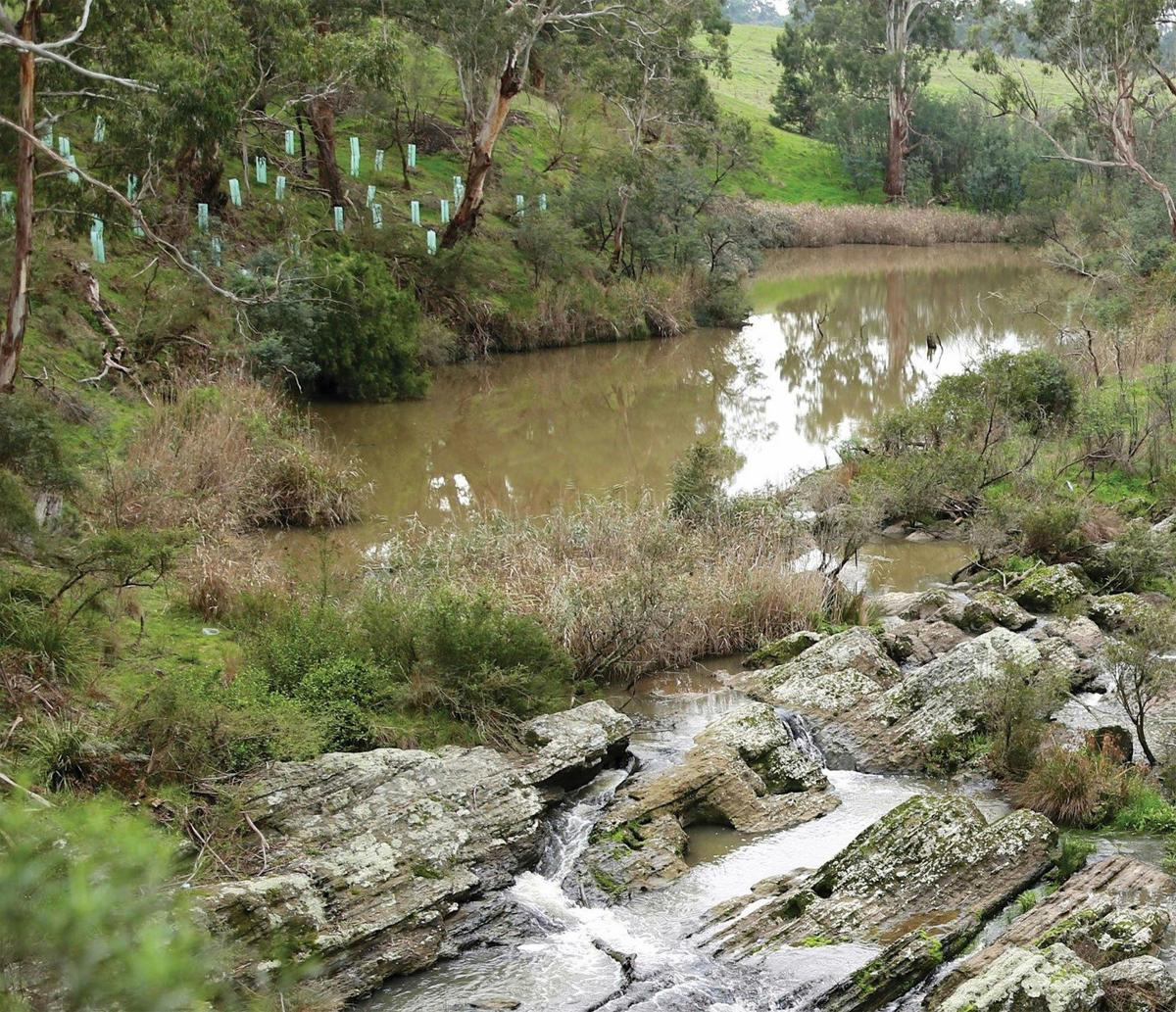 Yarrambat Park