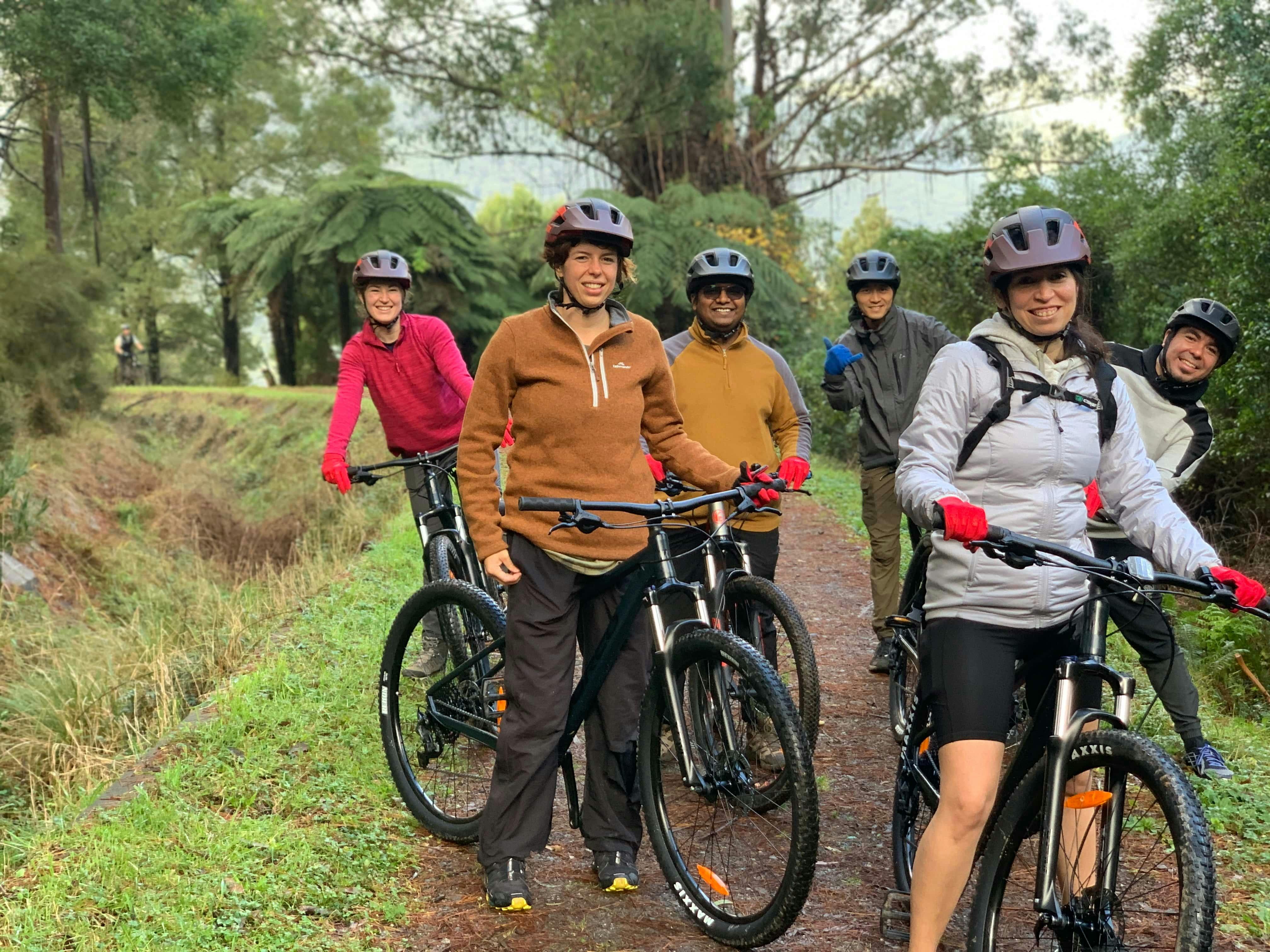 Explore the enchanting Redwood Forest on a scenic mountain bike tour