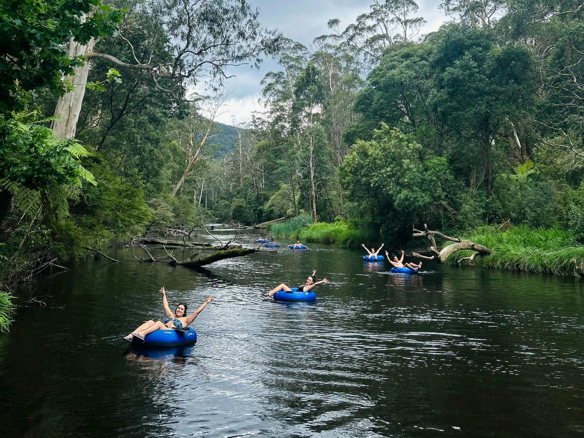 River tubing on the Yarra River in Warburton
