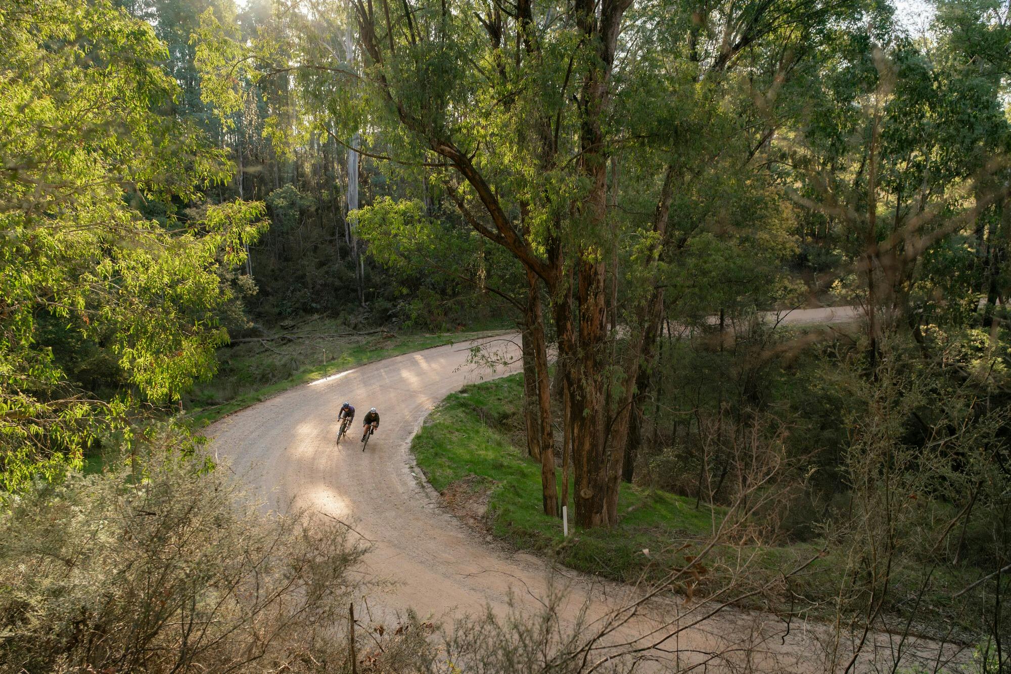Two people on bikes riding on a gravel road through lush green bushland, going around a bend.