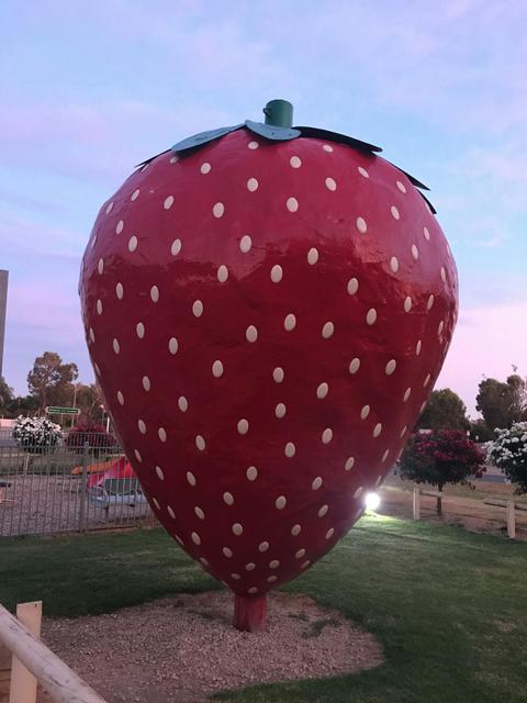 The Big Strawberry