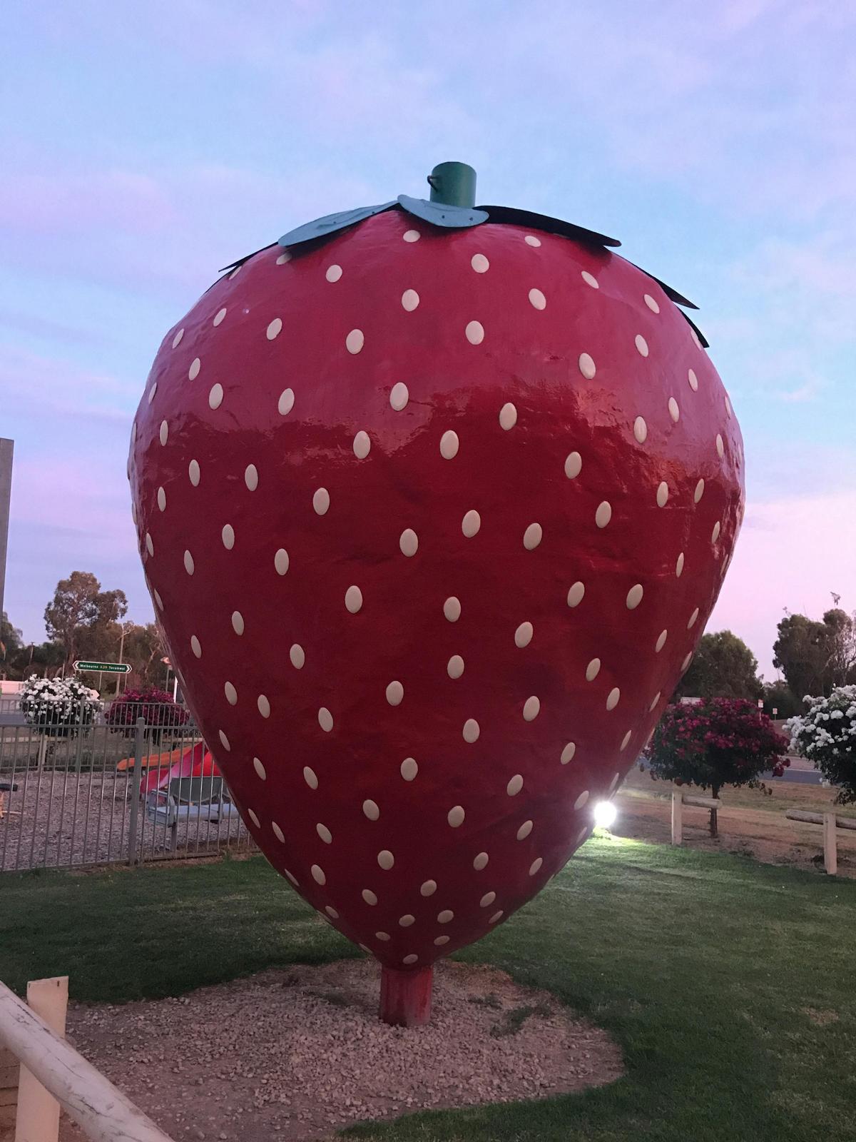 The Big Strawberry
