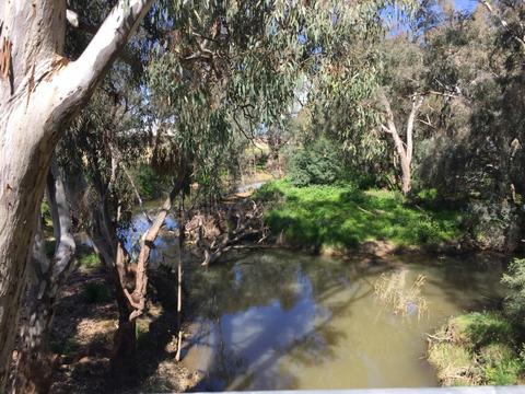 Three Mile Creek shared path