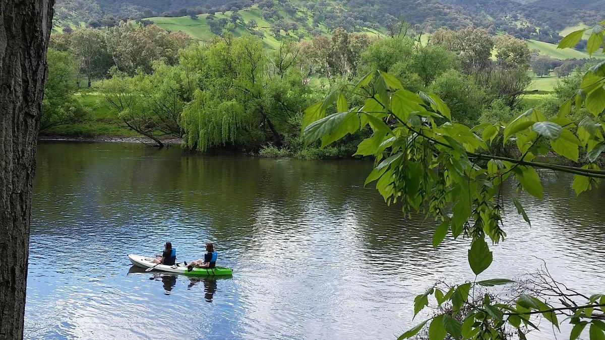 Kayaking on the Murray River