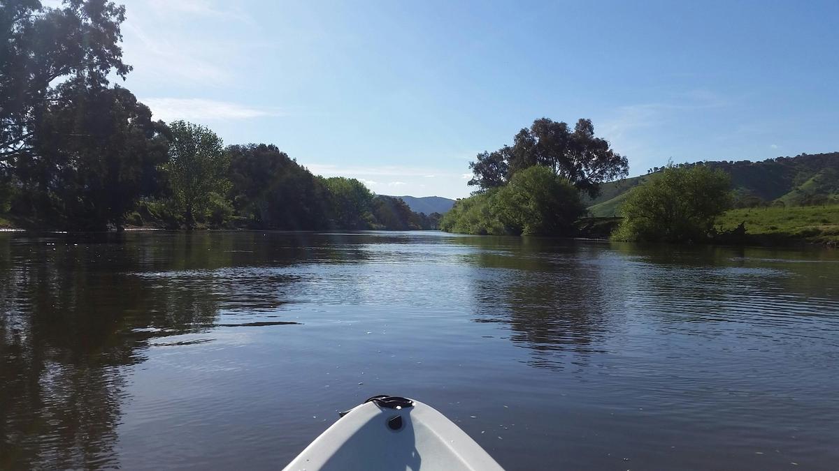 Kayaking the Murray