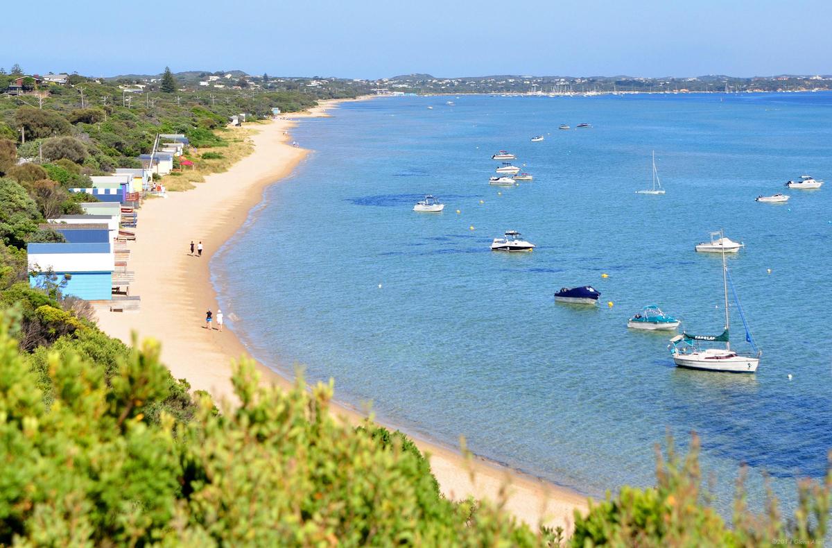 WhiteCliffs Headland