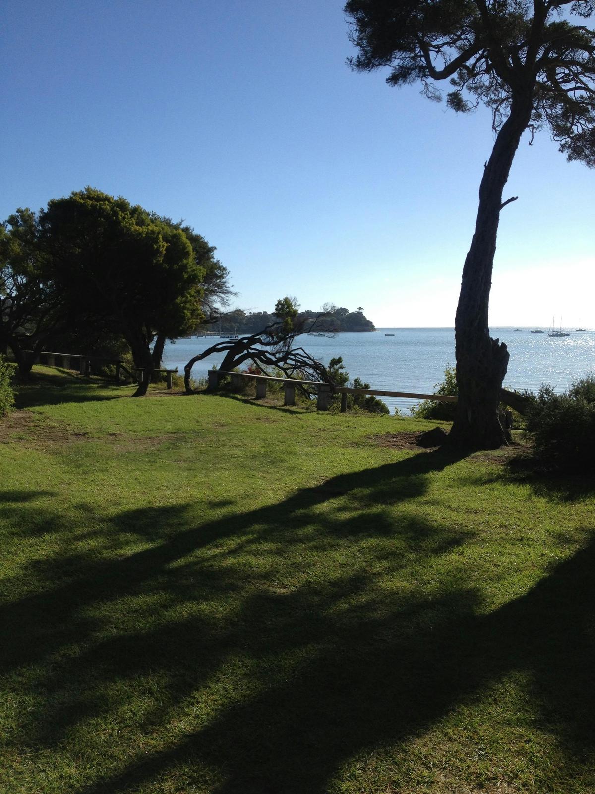 Camerons Bight Campground