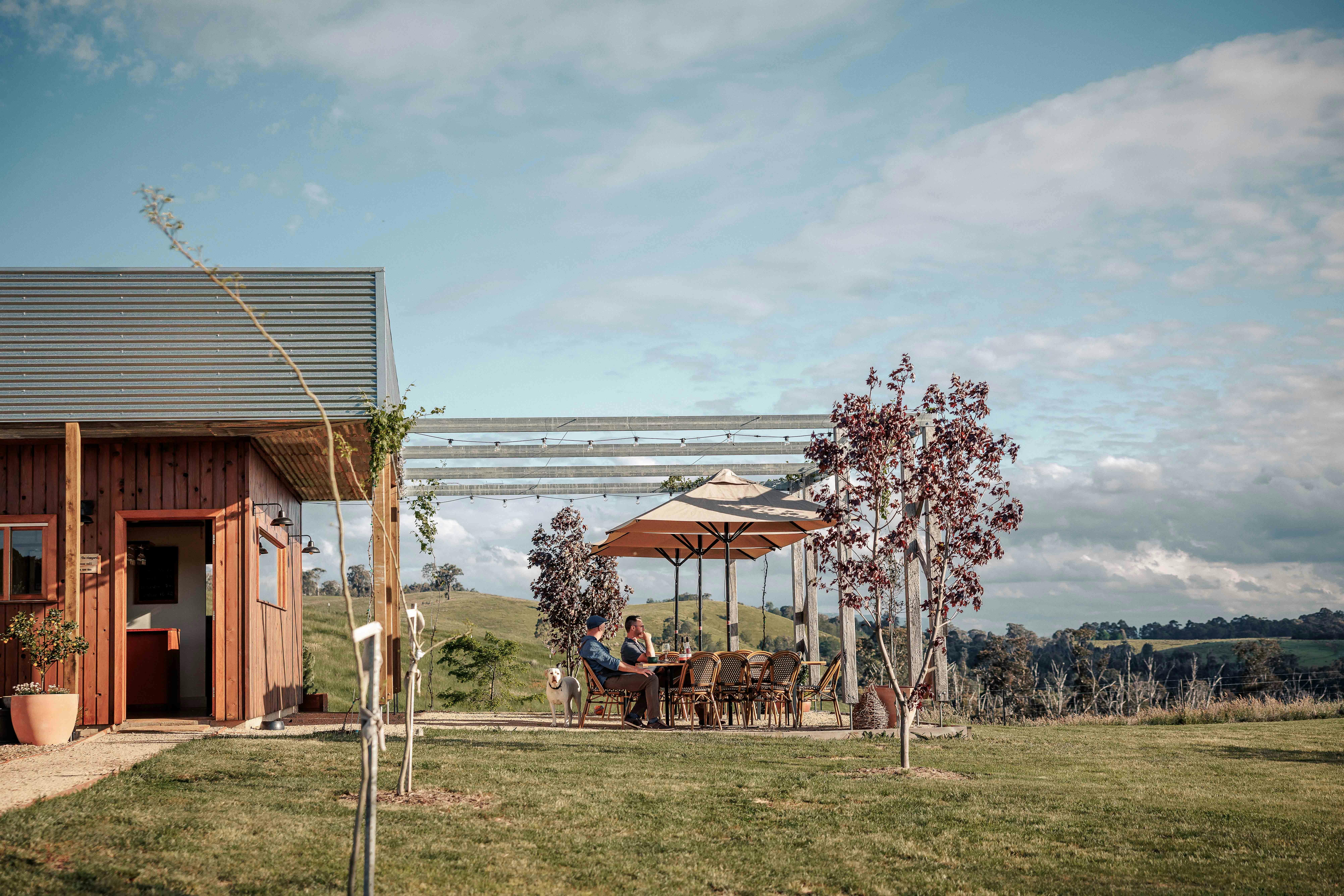 Willem Kurt Cellar Door