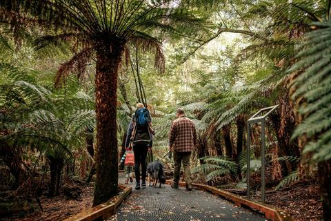 Wirrawilla Rainforest Walk