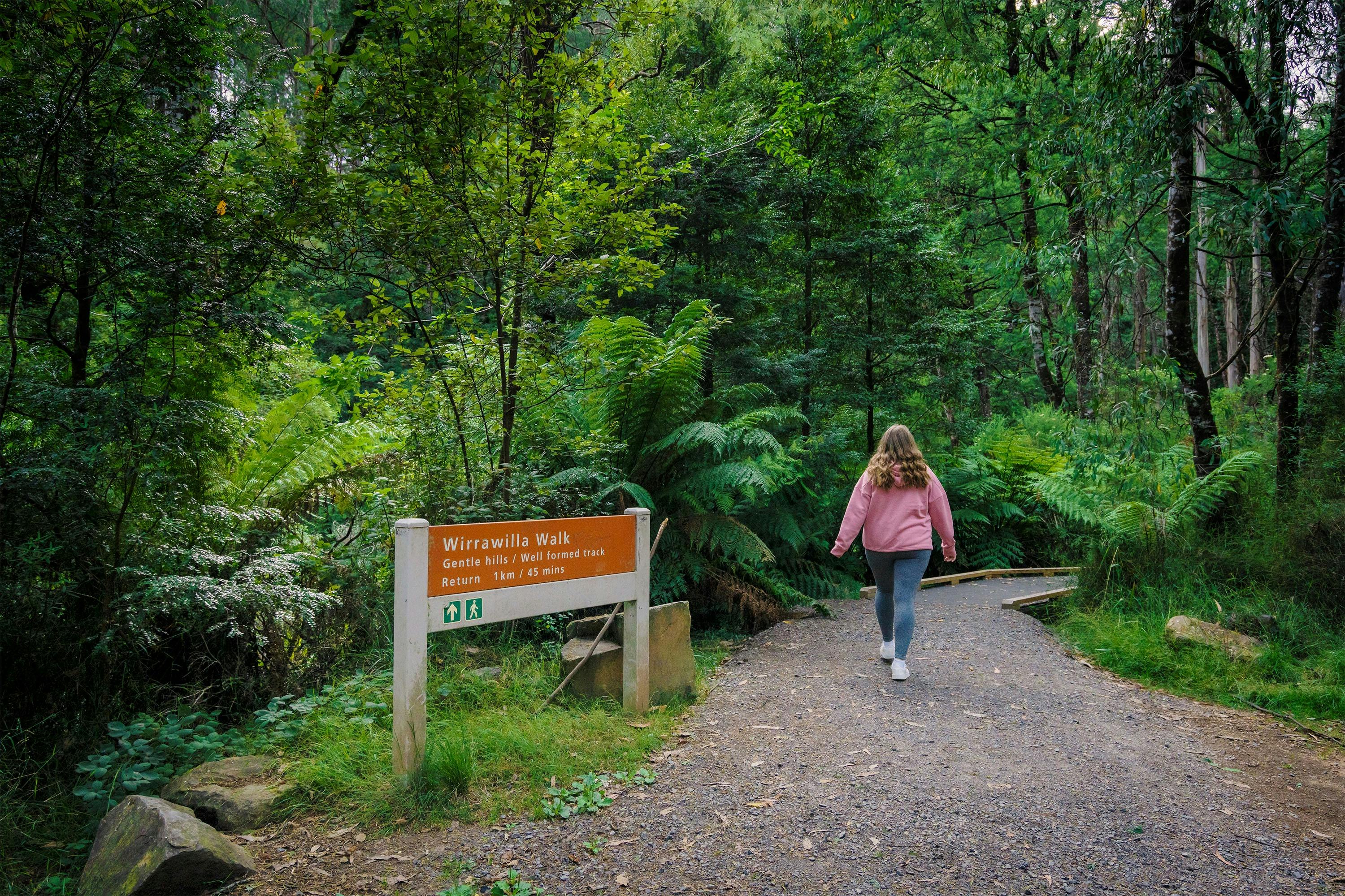 Wirrawilla Rainforest Walk