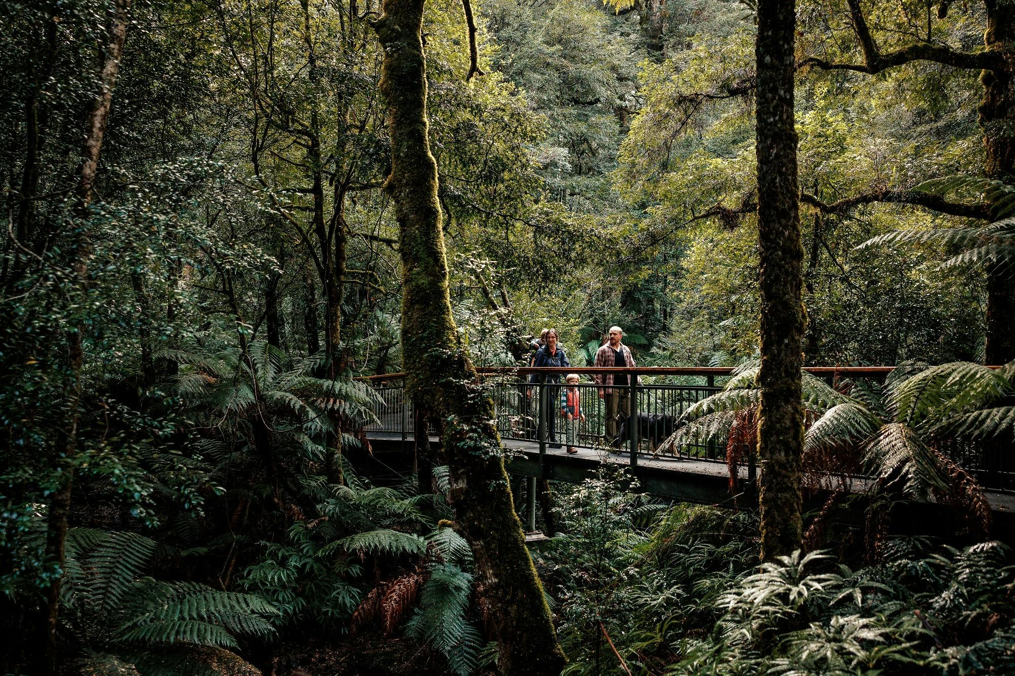 The Wirrawilla Walk features an accessible boardwalk.