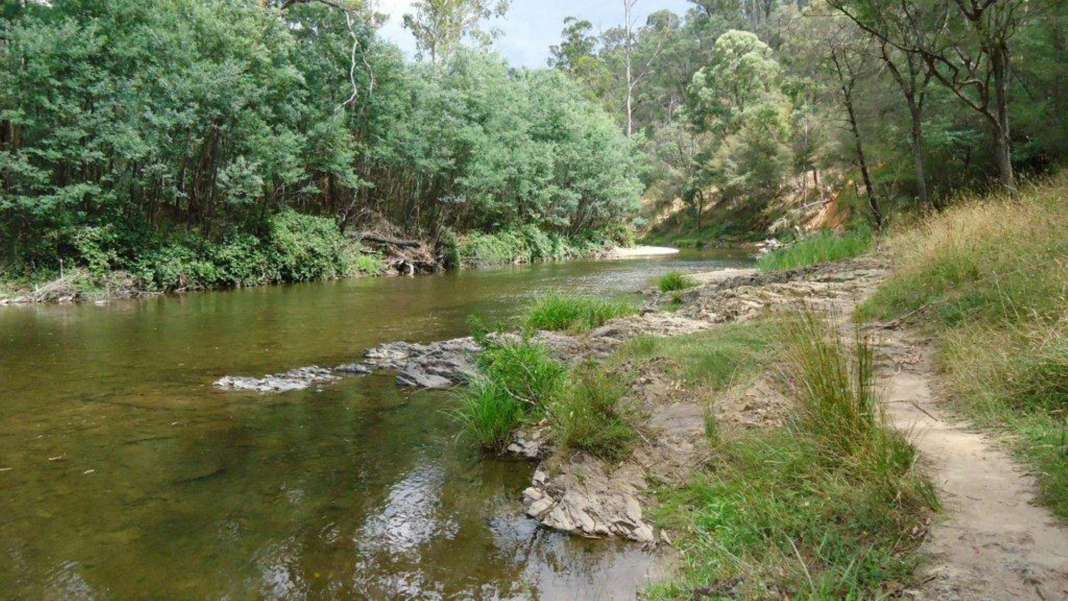 Goulburn River Skipworth Reserve