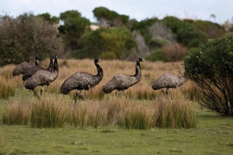 Wilsons Promontory National Park