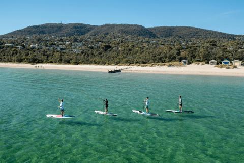 Wild Adventures Melbourne (WAM)