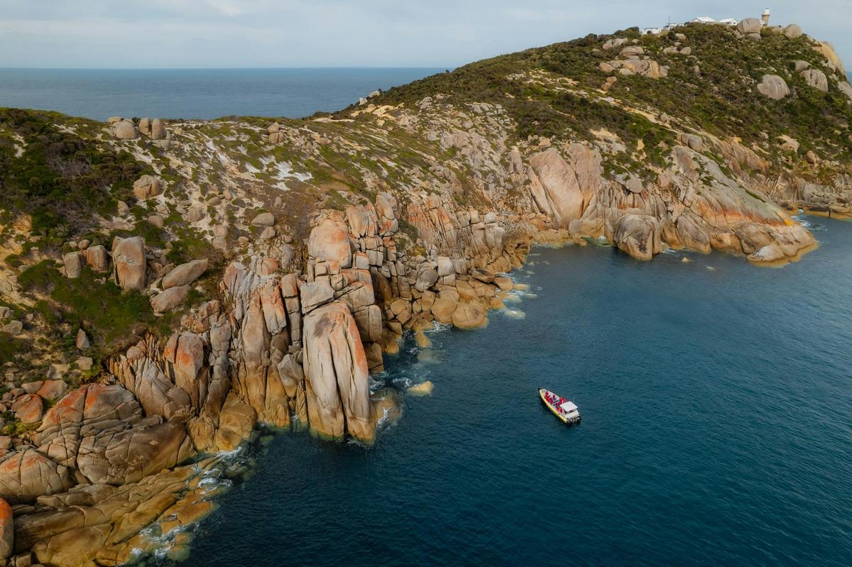 Wilsons Promontory Whale Watching Cruise
