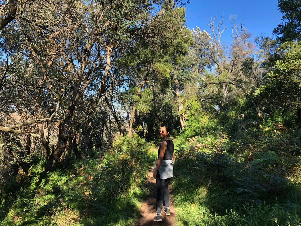 Walking through bushland