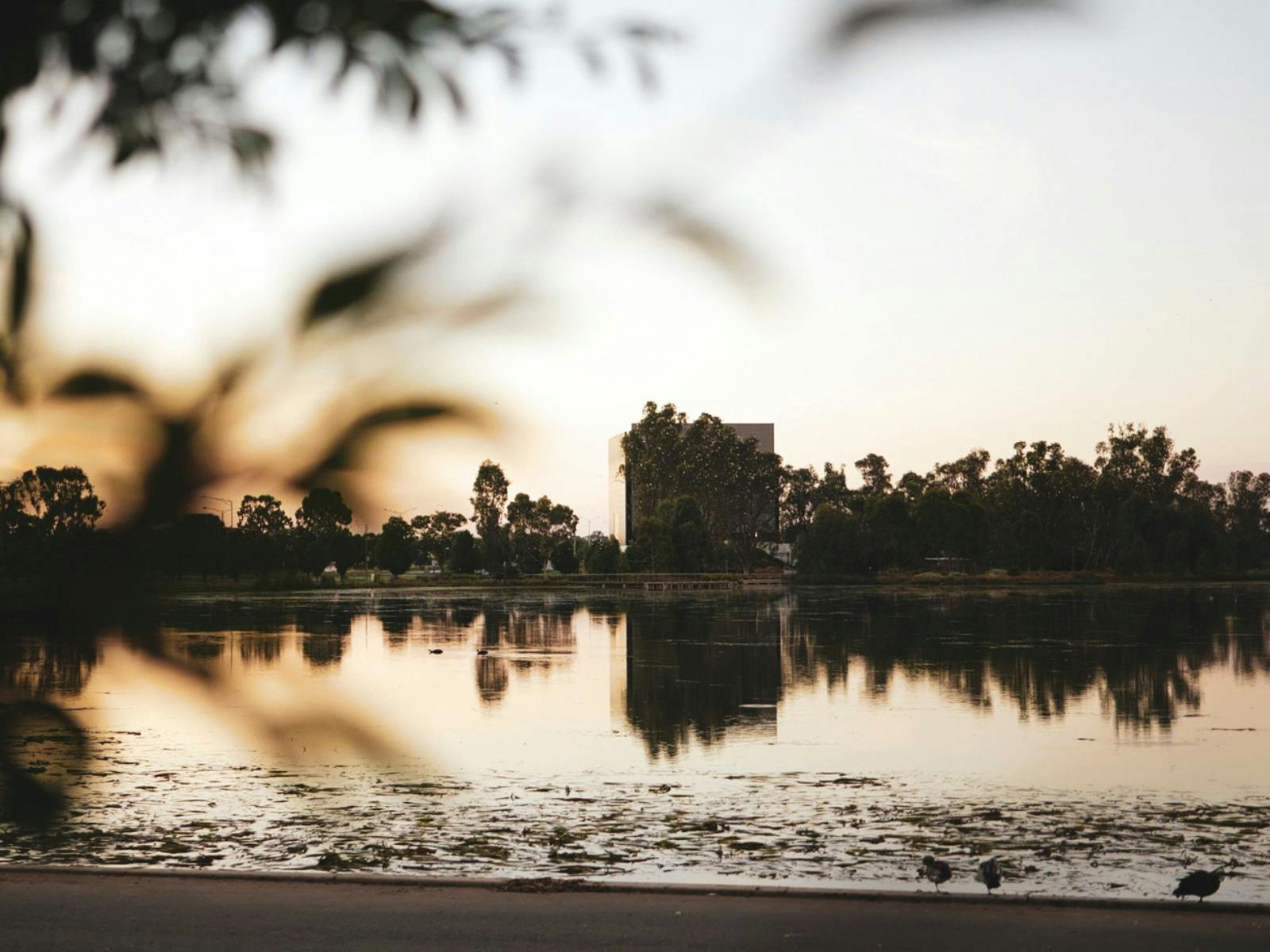 Victoria Park Lake with SAM building in background