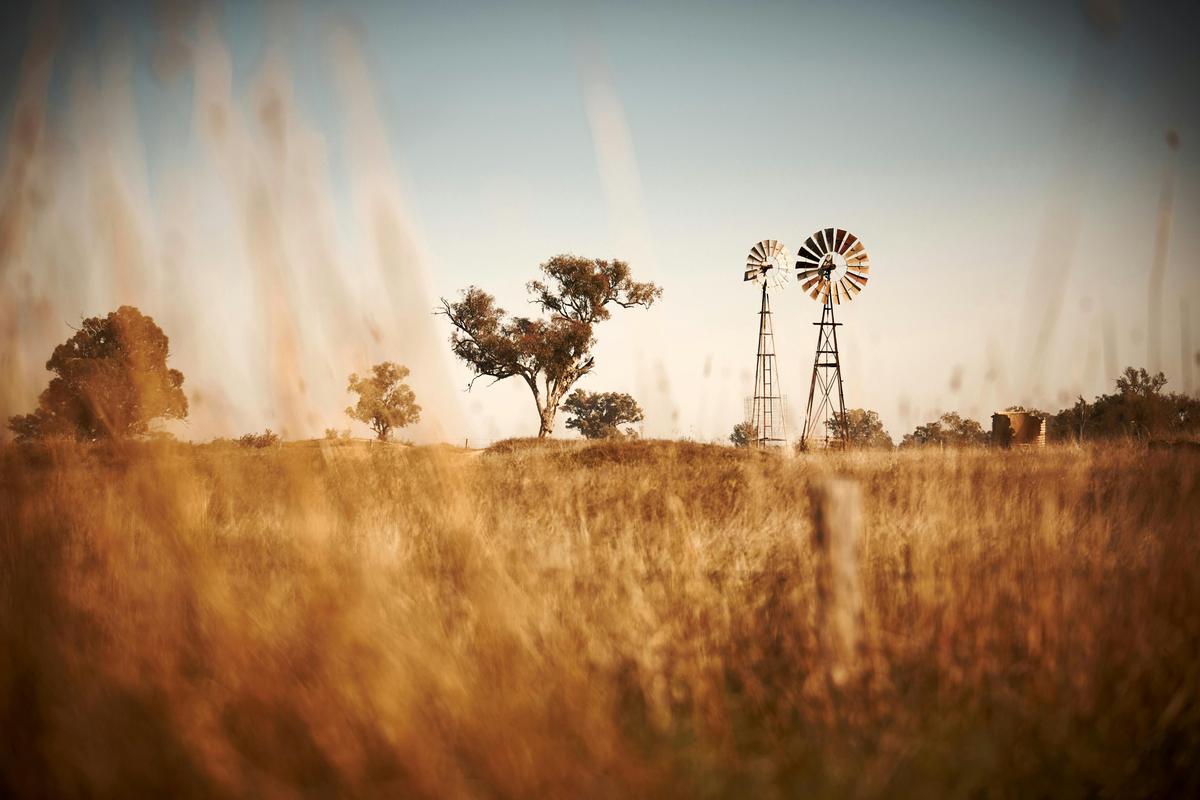 windmill