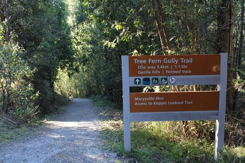 Tree Fern Gully Trail