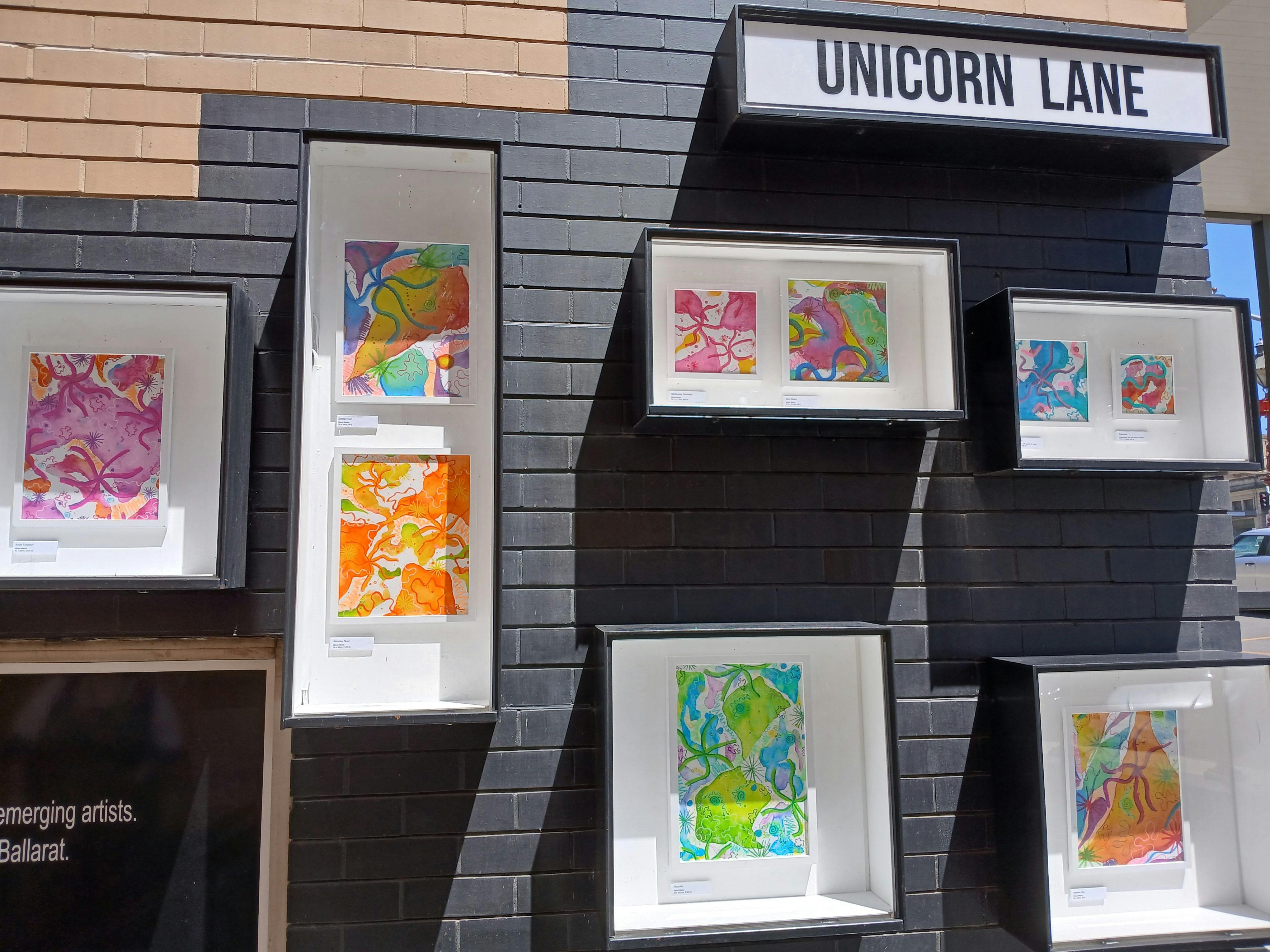 Exhibition by Tara Rainbow