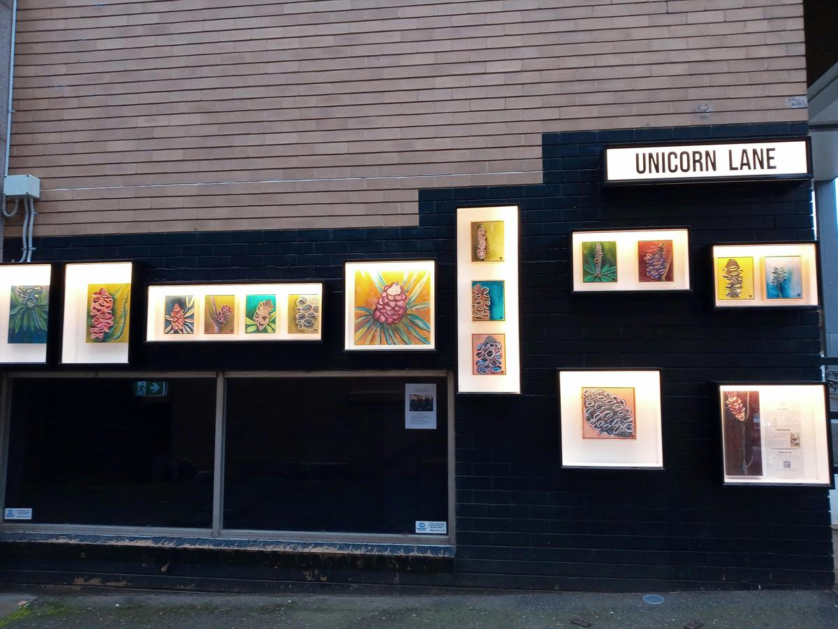 Unicorn Lane - Exhibition 'Not a Baddie' by Tegan Crosbie