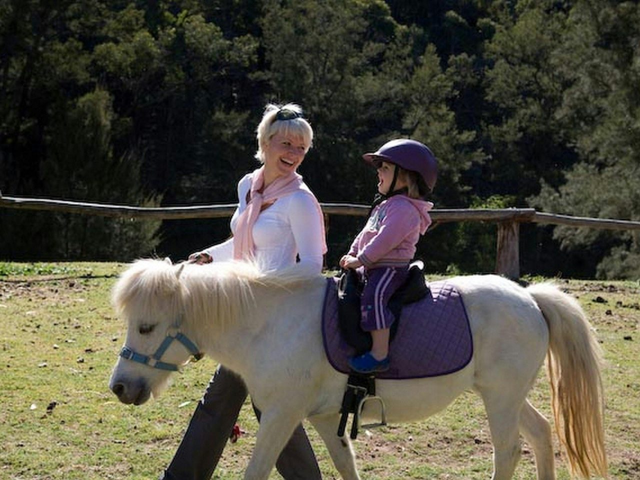 Cute little ponies for the little ones