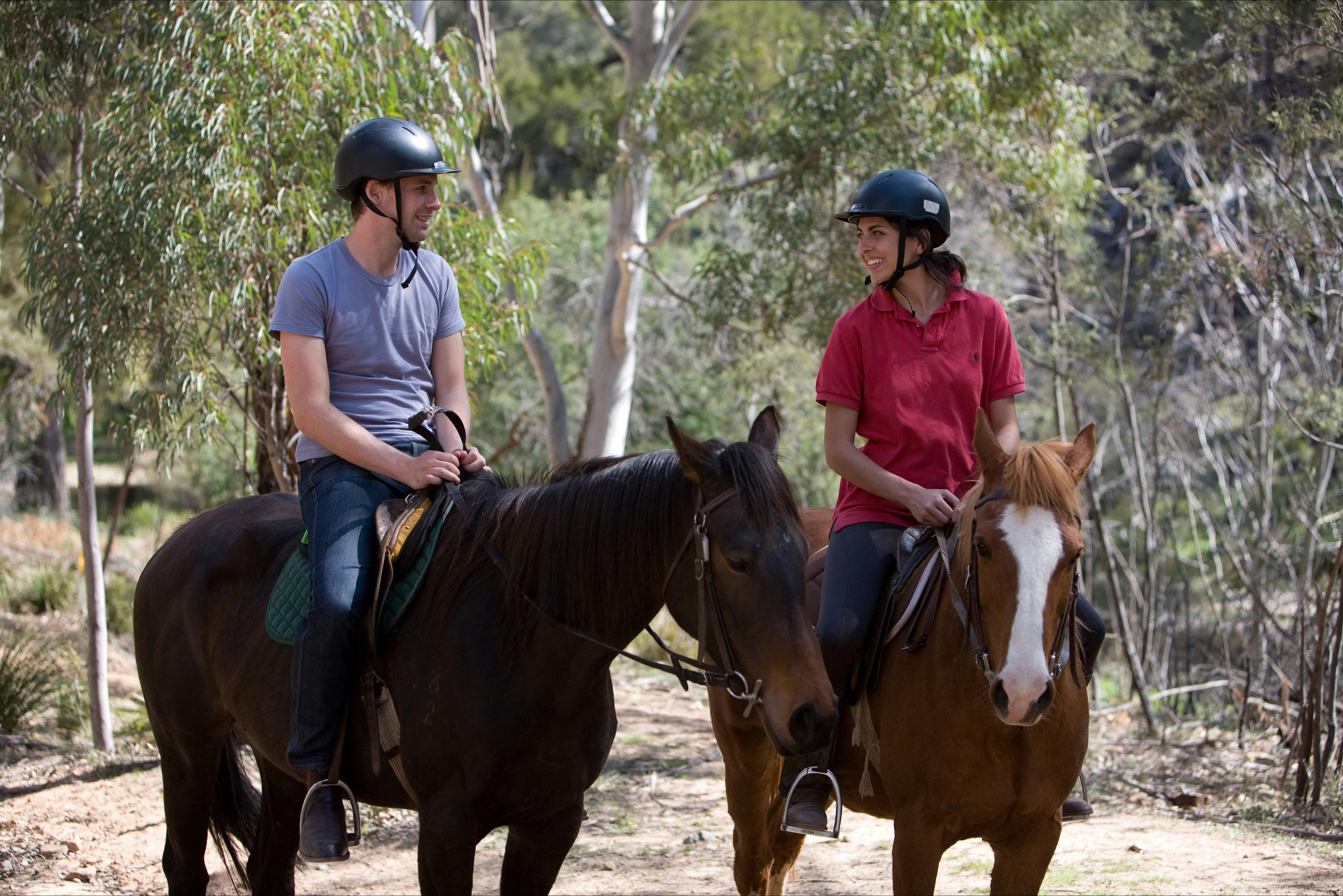 Relax on well fed and nourished horses.