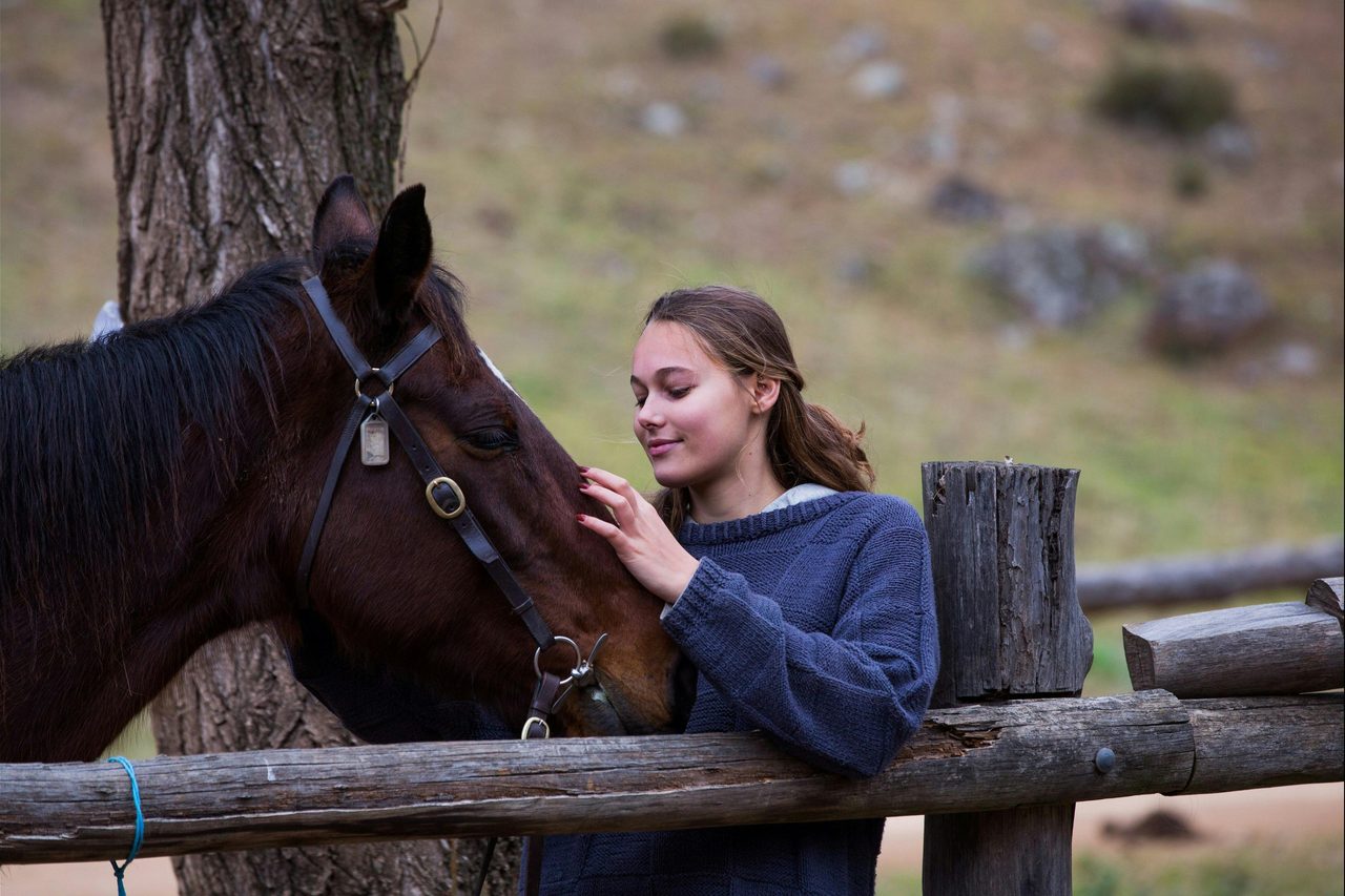 Everyone loves horses!