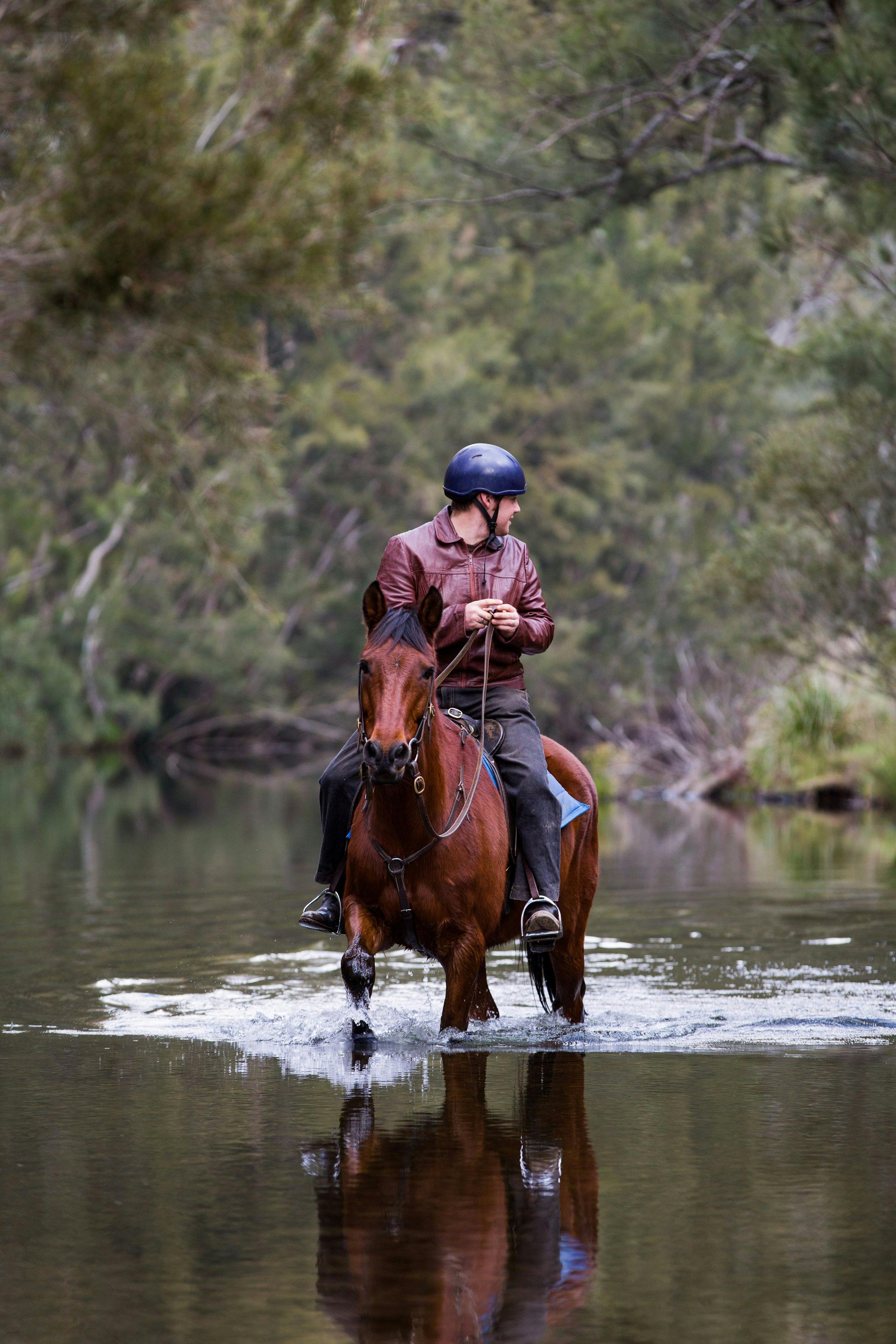 Horseride through the river!