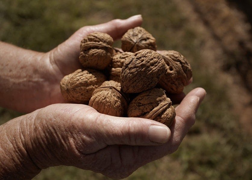 High Country Local Produce