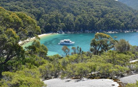 Wildlife Coast Cruises