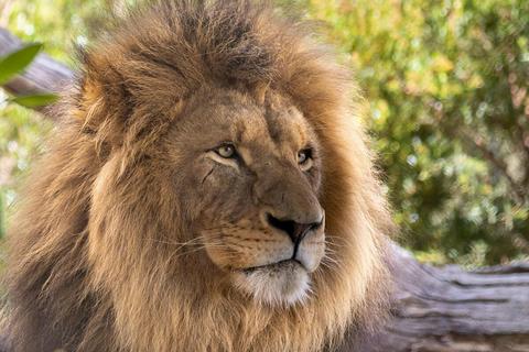 Werribee Open Range Zoo