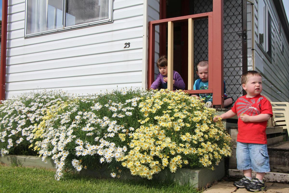 Entry to the Budget Cabins