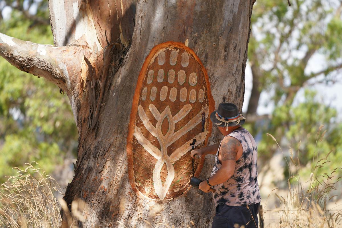Uncle Mick and his culturally modified tree from Art on the Great Victorian Rail Trail