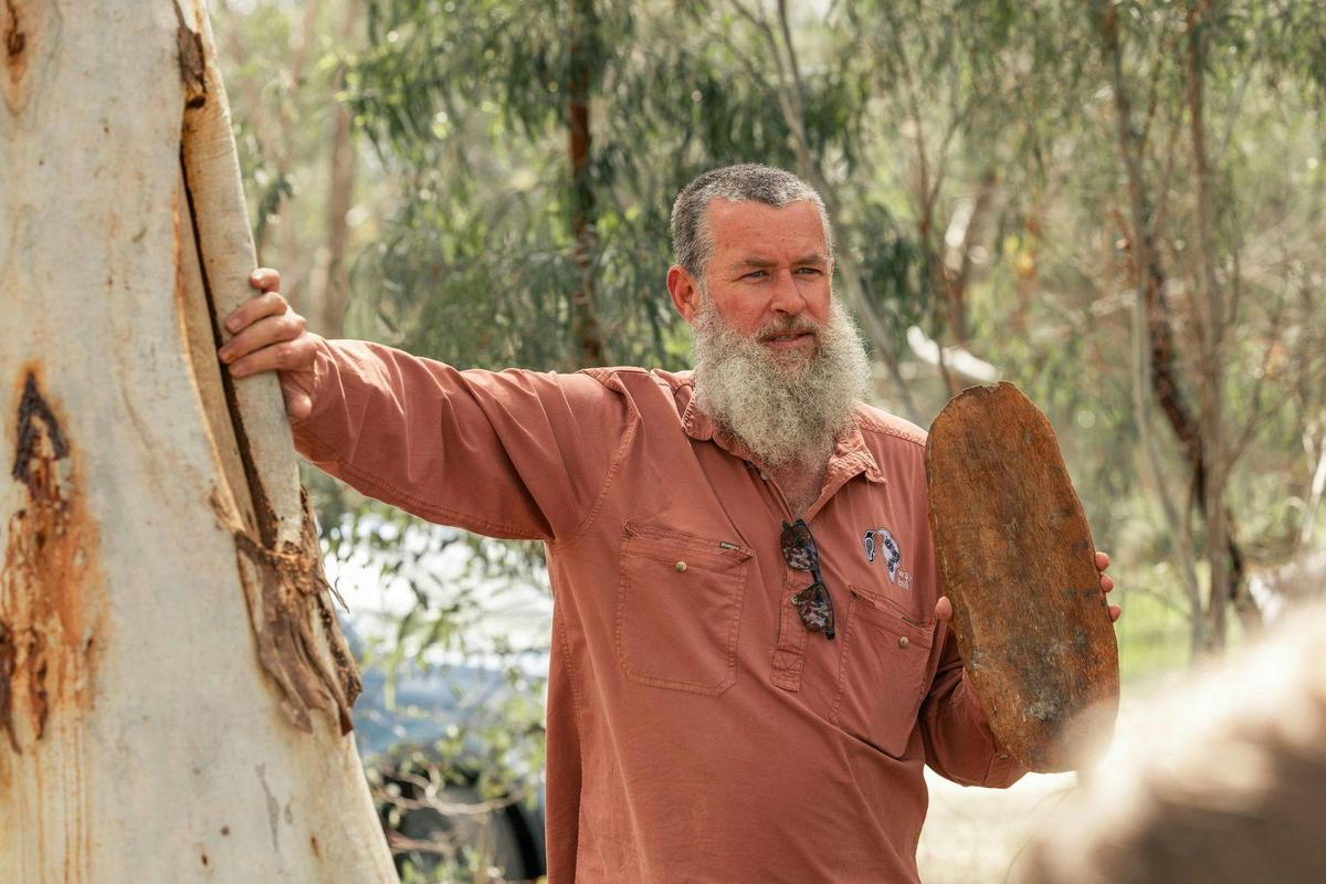 Guide with scarred tree